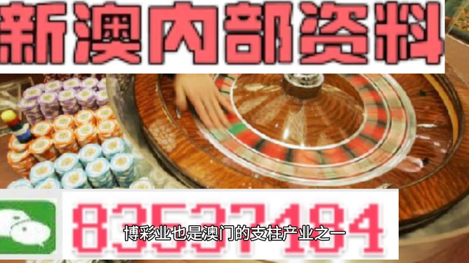 澳门正版免费资料精准大全,精选资料解析大全