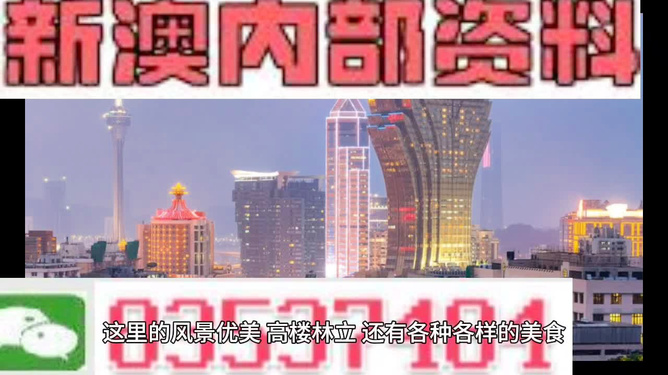 新澳2025年精准资料期期,新澳2025年精准资料期期，探索未来趋势与机遇