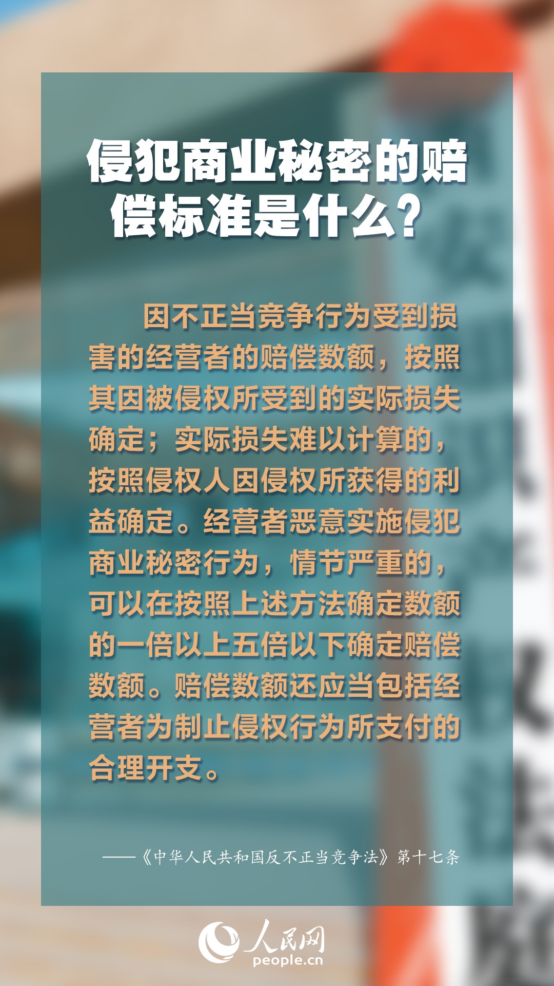 2025年正版资料免费大全最新版本更新时间,探索未来知识宝库，2025正版资料免费大全最新版本的更新之路