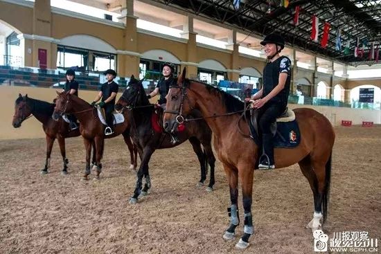 香港今晚开什么特马,香港今晚开什么特马，探索马术运动与香港的深厚渊源