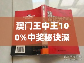 新澳门王中王王中王免费,新澳门王中王王中王免费，探索与解析